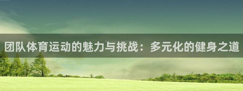 雷鸟体育免费直播软件下载：团队体育运动的魅力与挑战：多元化的健身之道