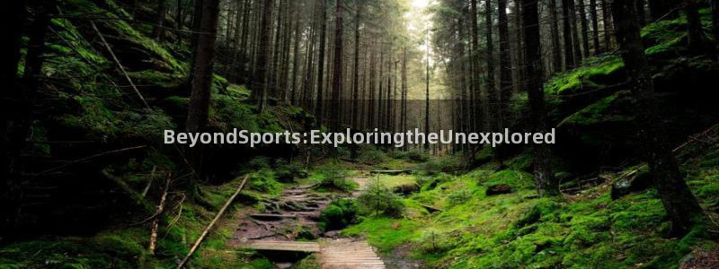 雷鸟体育免费直播软件下载：BeyondSports:ExploringtheUnexplored
