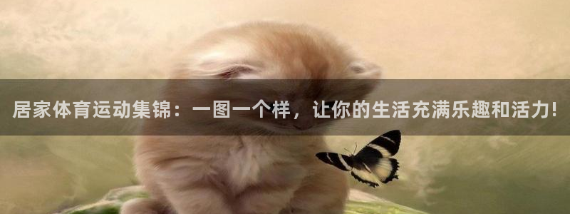 雷鸟体育免费直播软件下载：居家体育运动集锦：一图一个样，让你的生活充满乐趣和活力!