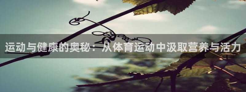雷鸟体育官网入口：运动与健康的奥秘：从体育运动中汲取营养与活力