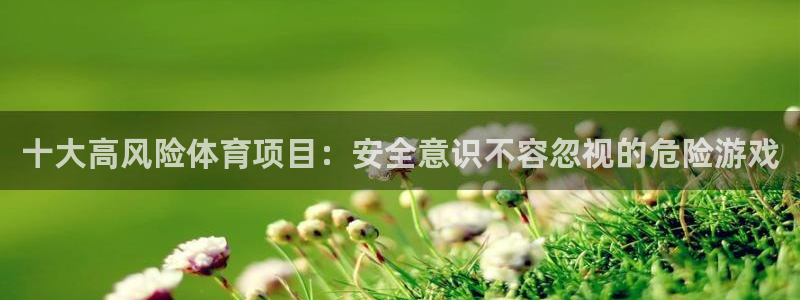 雷鸟体育APP下：十大高风险体育项目：安全意识不容忽视的危险游戏