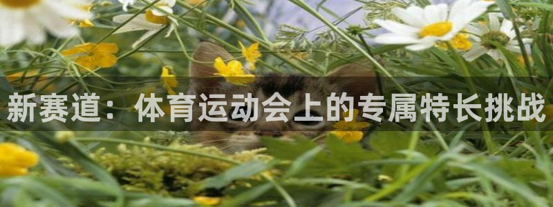 雷鸟体育官网入口：新赛道：体育运动会上的专属特长挑战