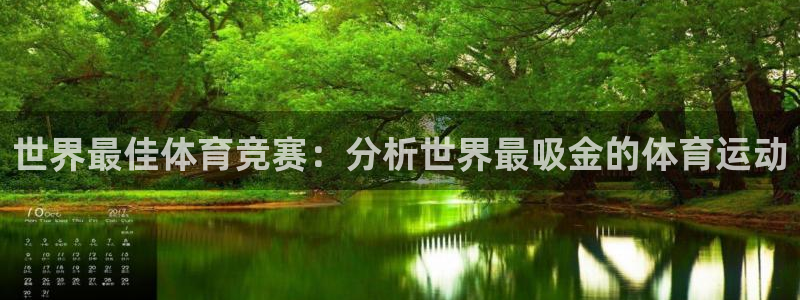 雷鸟体育app下载官网：世界最佳体育竞赛：分析世界最吸金的体育运动