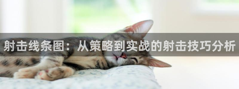 雷鸟体育官网入口：射击线条图：从策略到实战的射击技巧分析