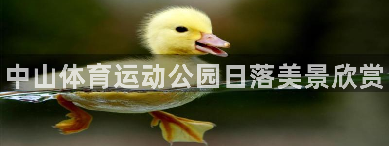 雷鸟体育苹果怎么下载：中山体育运动公园日落美景欣赏