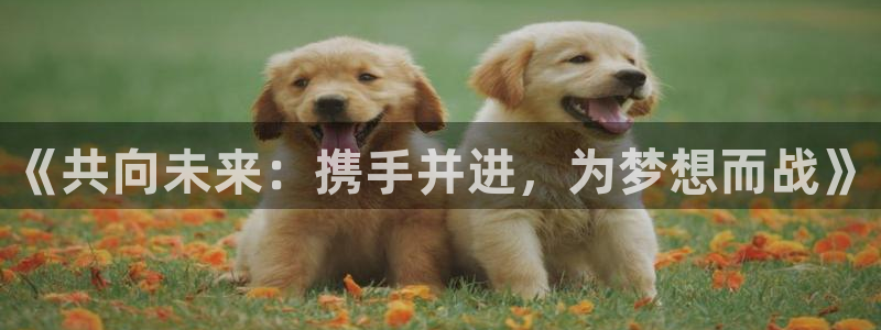 雷鸟体育免费下载：《共向未来：携手并进，为梦想而战》