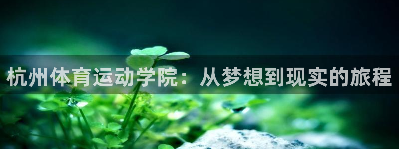 雷鸟体育苹果怎么下载：杭州体育运动学院：从梦想到现实的旅程