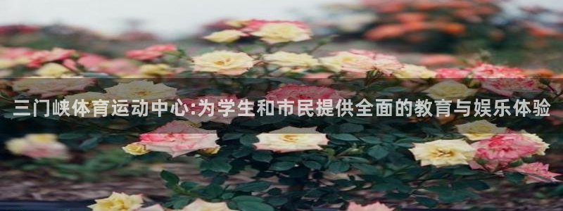 雷鸟体育APP下：三门峡体育运动中心:为学生和市民提供全面的教育与娱乐体验