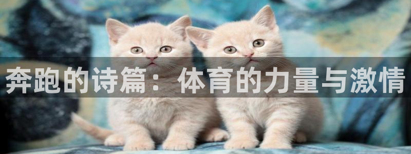 雷鸟体育：奔跑的诗篇：体育的力量与激情